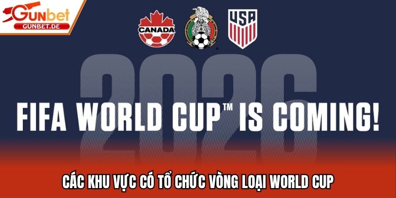 Các khu vực có tổ chức vòng loại World Cup
