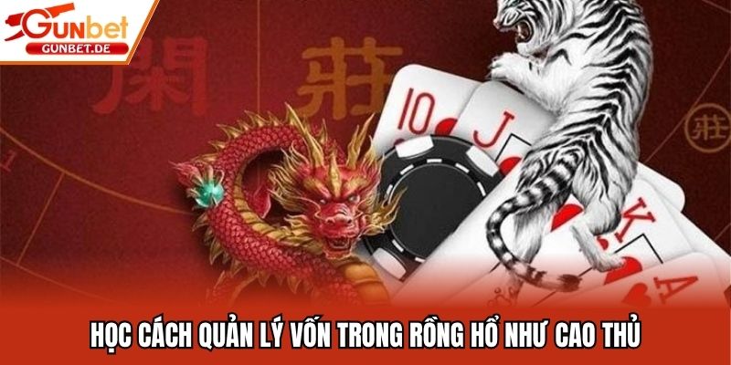 Học cách quản lý vốn trong rồng hổ như cao thủ