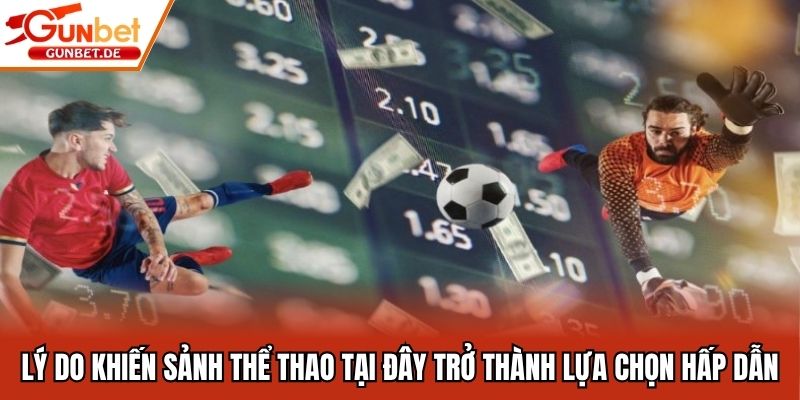 Lý do khiến sảnh thể thao tại đây trở thành lựa chọn hấp dẫn