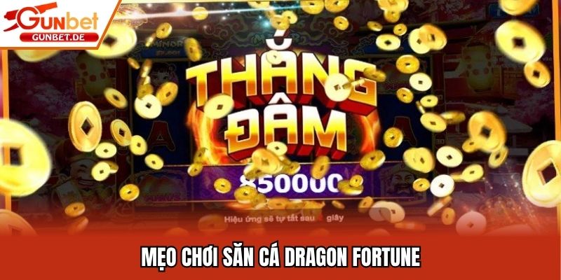 Mẹo chơi săn cá Dragon Fortune