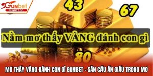 Mơ Thấy Vàng Đánh Con Gì Gunbet - Săn Cầu Ẩn Giấu Trong Mơ