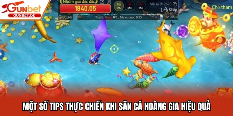 Một số tips thực chiến khi săn cá hoàng gia hiệu quả