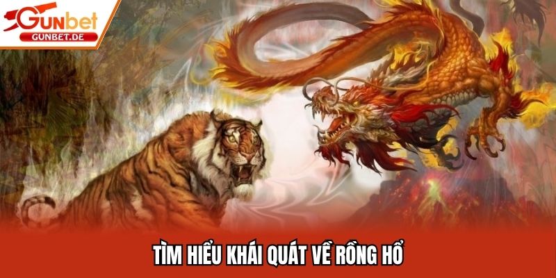 Tìm hiểu khái quát về rồng hổ